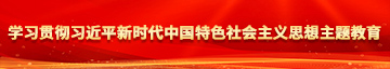 免费日逼学习贯彻习近平新时代中国特色社会主义思想主题教育